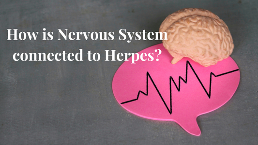 How is Nervous System connected to Herpes?